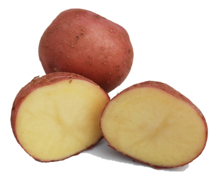 Картофель семенной Шарвари Пирошка 2кг (суперэлита)