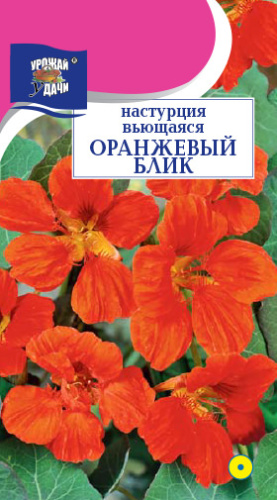 Настурция Оранжевый блик
