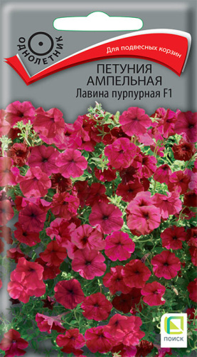 Петуния Лавина F1 пурпурная ампельная