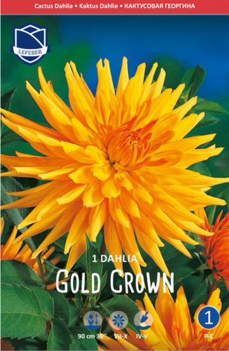 Георгина кактусовая Gold Crown /1шт