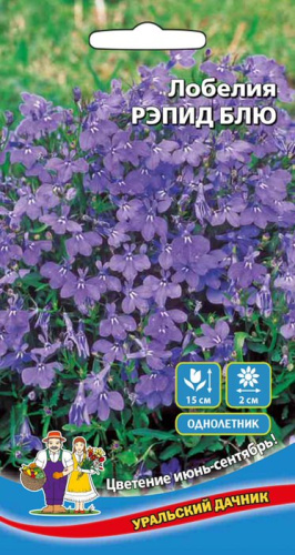 Лобелия Рэпид блю
