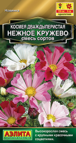 Космея Нежное кружево, смесь