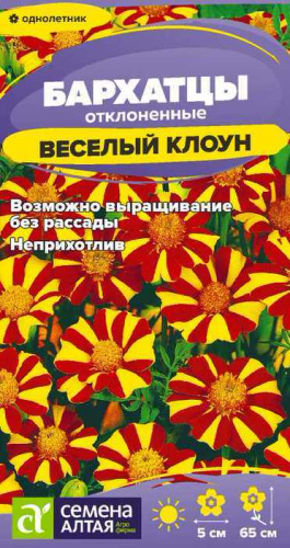 Бархатцы Веселый Клоун