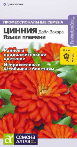 Цинния Дабл Захара Языки пламени 