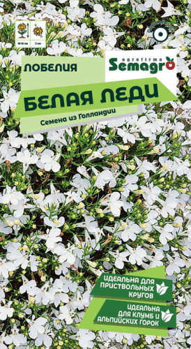 Лобелия Белая Леди 