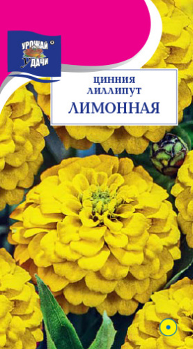 Цинния лиллипут Лимонная 