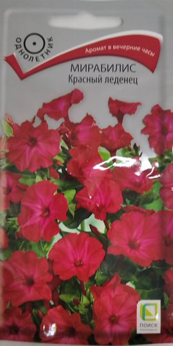 Мирабилис Красный леденец