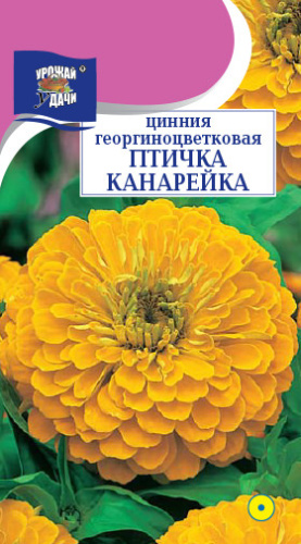 Цинния Птичка Канарейка 