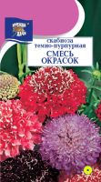 Скабиоза Смесь Окрасок темно-пурпурная  купить