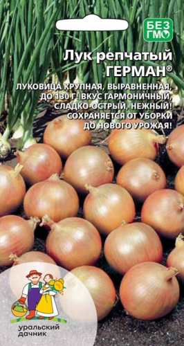 Лук (репчатый) Герман 