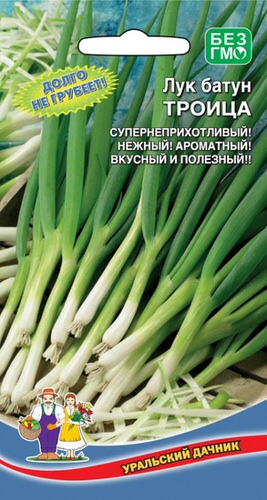 Лук Троица, батун