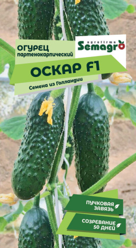 Огурец Оскар