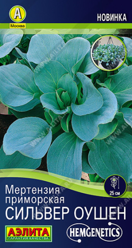 Мертензия приморская Сильвер Оушен