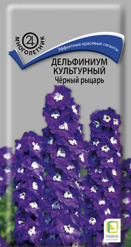 Дельфиниум Черный рыцарь культурный