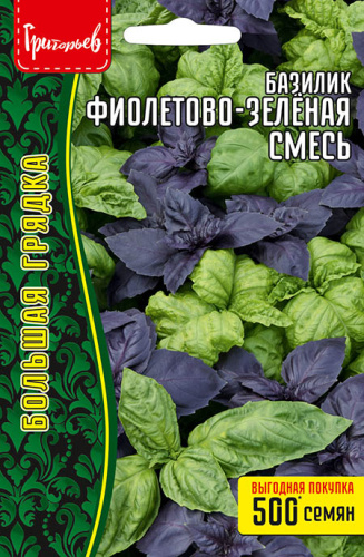 Базилик Фиолетово-Зелёная Смесь