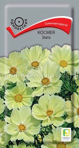 Космея Злата 