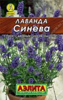 Лаванда Синева  купить