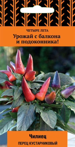 Перец (кустарниковый) Чилиец