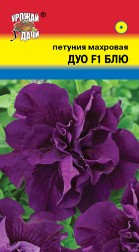Петуния Дуо F1 Блю