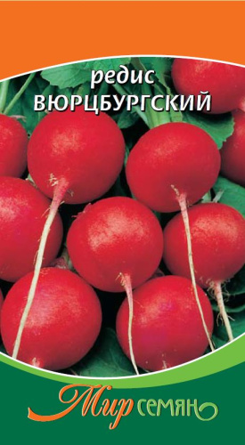 Редис Вюрцбургский 3г