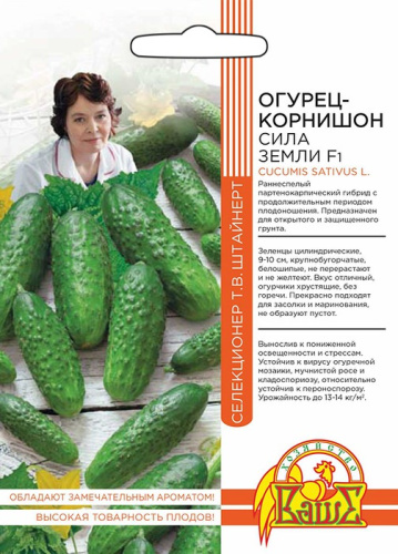 Огурец Сила земли - корнишон F1