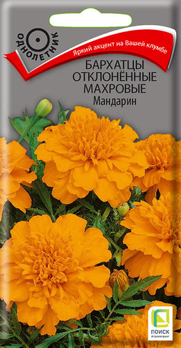 Бархатцы Мандарин откл. махр.