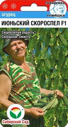 Огурец Июньский скороспел F1