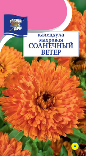 Календула махровая Солнечный ветер 