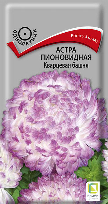 Астра Кварцевая башня пионовидная