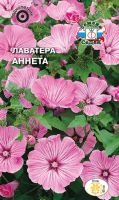 Лаватера Аннета (трехмесячная) купить