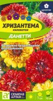 Хризантема Данетти килеватая  купить