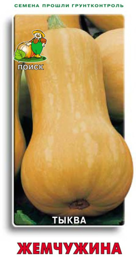 Тыква Жемчужина мускатная 