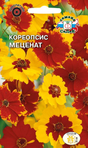 Кореопсис Меценат 