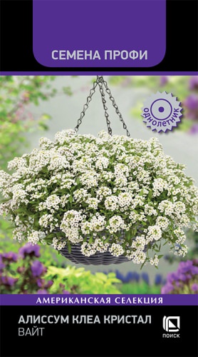 Алиссум Клеа Кристал F1 Вайт