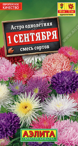 Астра 1 сентября, смесь