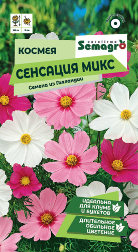 Космея Сенсация микс 