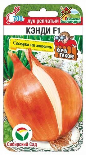 Лук (репчатый) Кэнди F1 60шт 