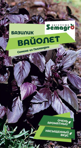 Базилик Вайолет 