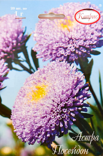 Астра Посейдон/1шт