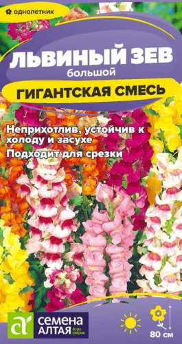 Львиный зев Гигантская смесь 