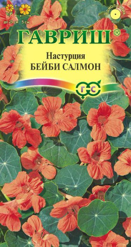 Настурция Бейби салмон