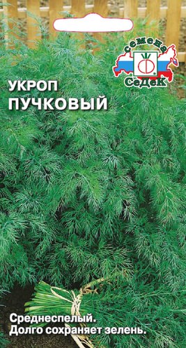 Укроп Пучковый 