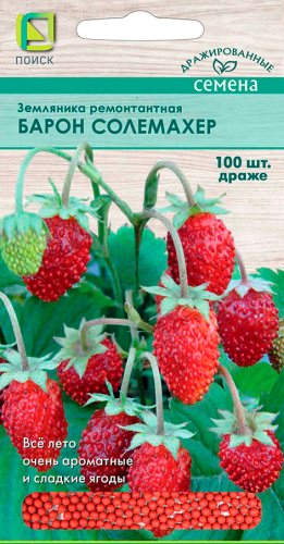 Земляника Барон Солемахер ремонтантная (драже) (А)