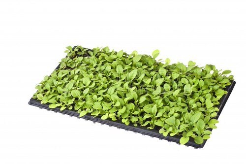 Касеета 40 ячеек/90шт