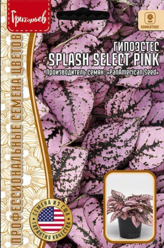 Гипоэстес Splash Select Pink