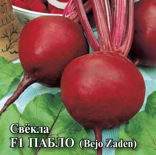 Свекла Пабло F1 10г (Голландия) ПРОФ