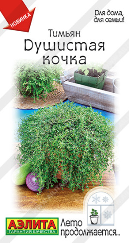 Тимьян Душистая кочка Лето продолжается...