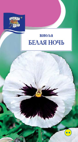 Виола Белая Ночь