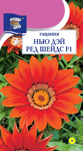 Гацания Нью Дэй Ред Шейдс F1 