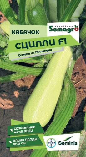 Кабачок Сцилли F1 
